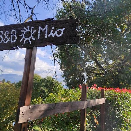 B&B Sole Mio Velletri Eksteriør bilde