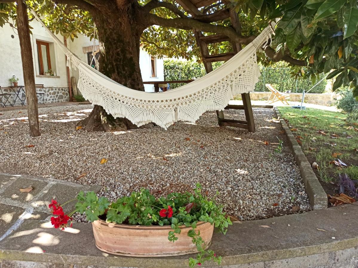 B&B Sole Mio Velletri Eksteriør bilde